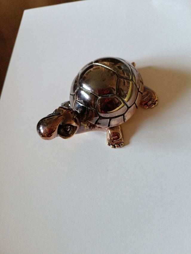 Tartaruga porta fortuna