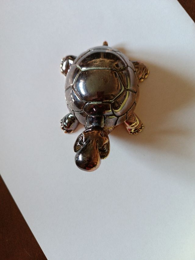 Tartaruga porta fortuna