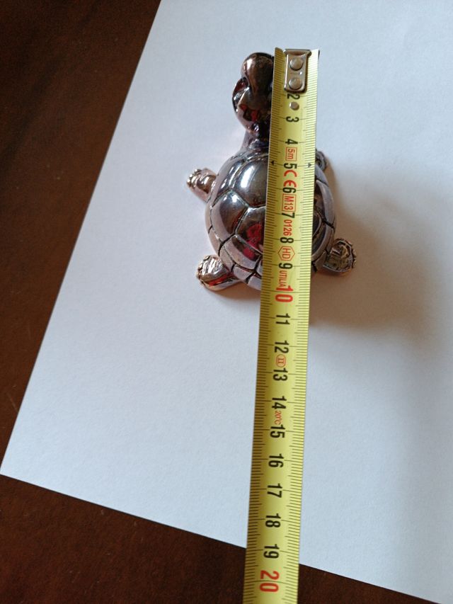 Tartaruga porta fortuna