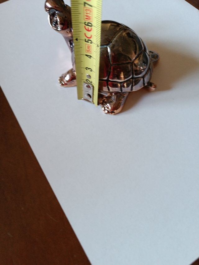 Tartaruga porta fortuna