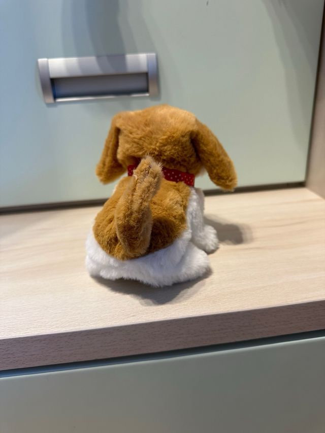 Perro andador y ladrador