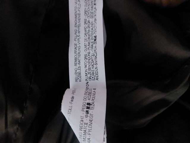 PLUMA ZARA MUJER TALLA S 37e