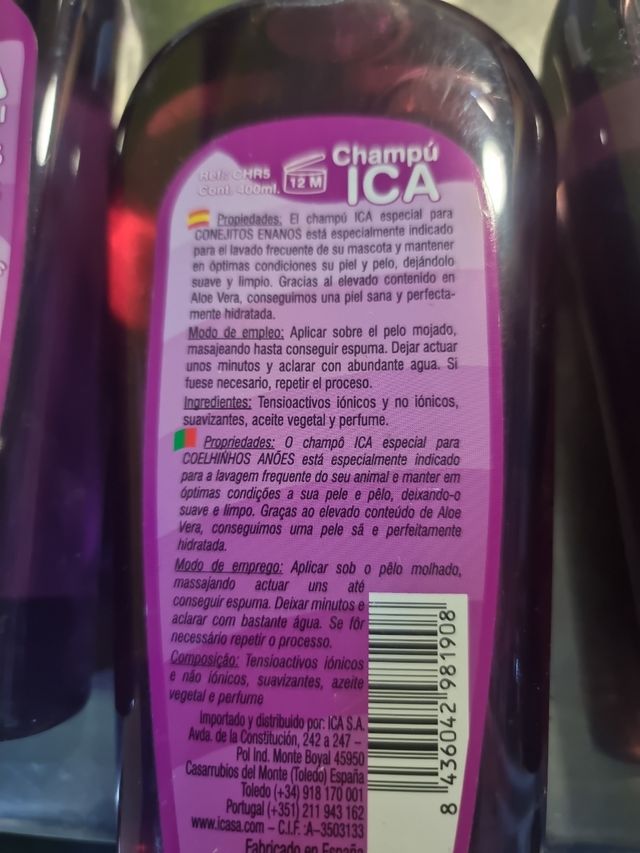 Champu conejitos enanos