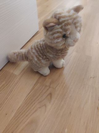 Peluche gatito