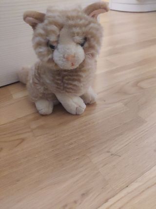 Peluche gatito