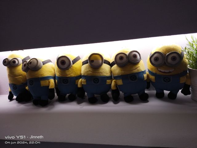 Sto cercando un lavoro 