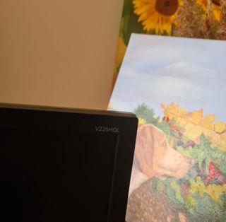 Monitor Acer C226HQL