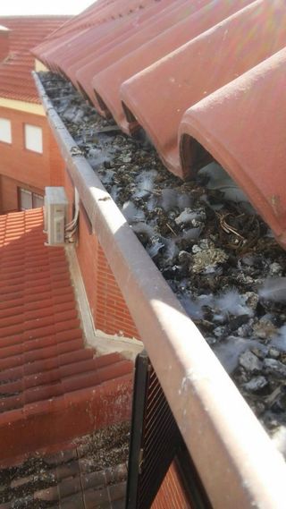 Limpieza de tejado y canalones
