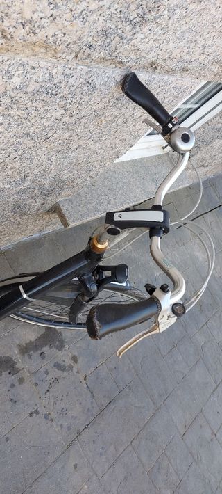 Bicicleta paseo electrica