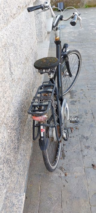 Bicicleta paseo electrica