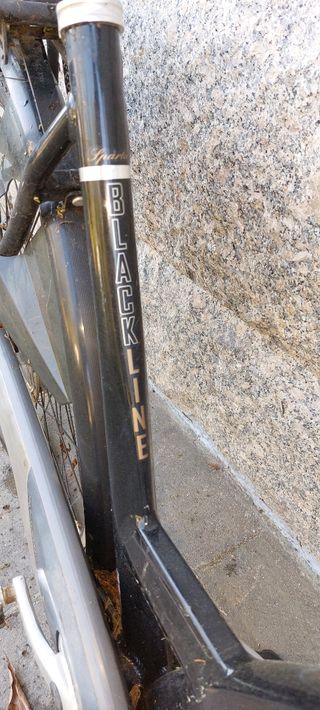 Bicicleta paseo electrica