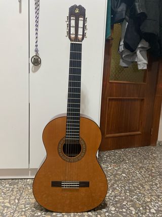 Guitarra admira