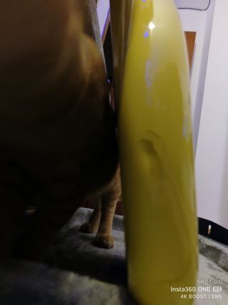 Bajo eléctrico Maruszczyc