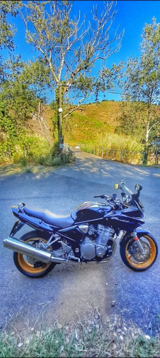 Suzuki gsf 600 bandit