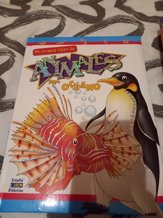 Colección 4 libros infantiles