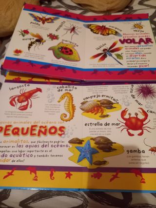 Colección 4 libros infantiles