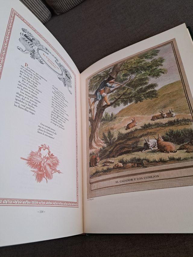 Libro fiabe in spagnolo