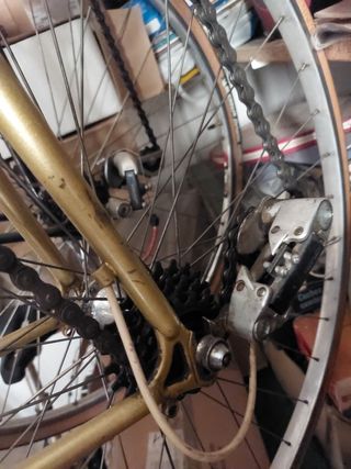 Bicicleta Orbea Kronos
