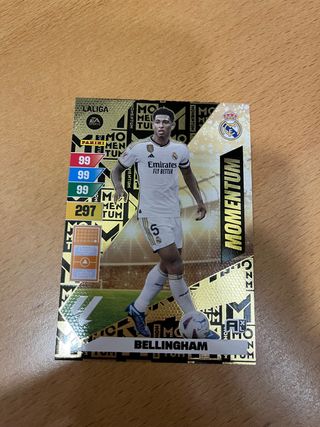 2023/24 Bellingham MOMENTUM