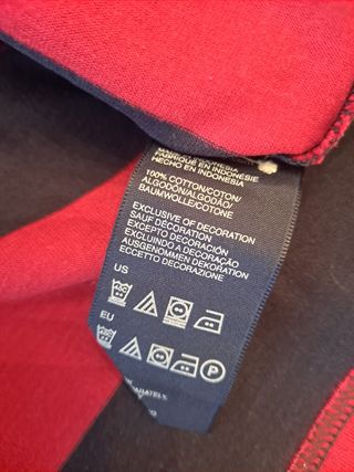 Polo Tommy Hilfiger manga larga 