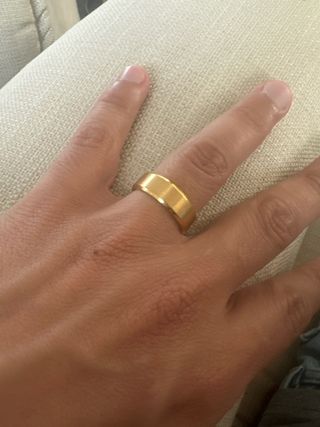 Conjunto de anillos de Alianzas de Titanio puro