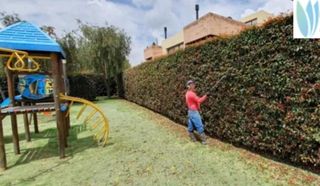 Jardinero economíco 
