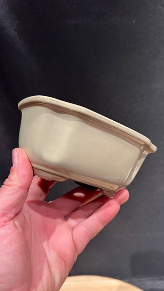 MACETA BONSAI MAME /SHOIN FLOR JAPONESA BLANCA