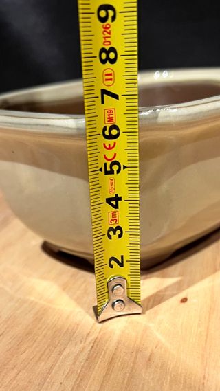 MACETA BONSAI MAME /SHOIN FLOR JAPONESA BLANCA