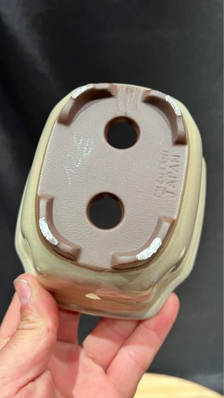 MACETA BONSAI MAME /SHOIN FLOR JAPONESA BLANCA