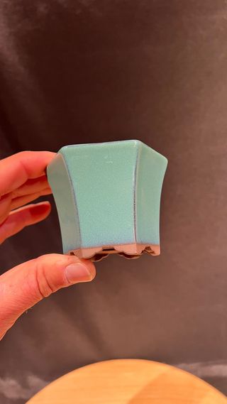 MACETA BONSAI MAME CASCADA JAPONESA VERDE TURQUESA