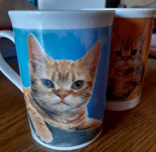 Lote tazas gatitos 310 ml.