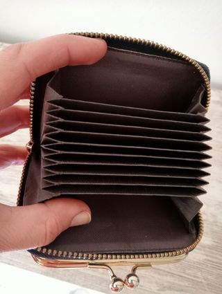 Monedero de serpiente