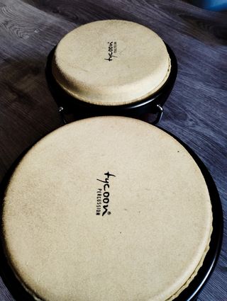 BONGO TYCOON Percussion
