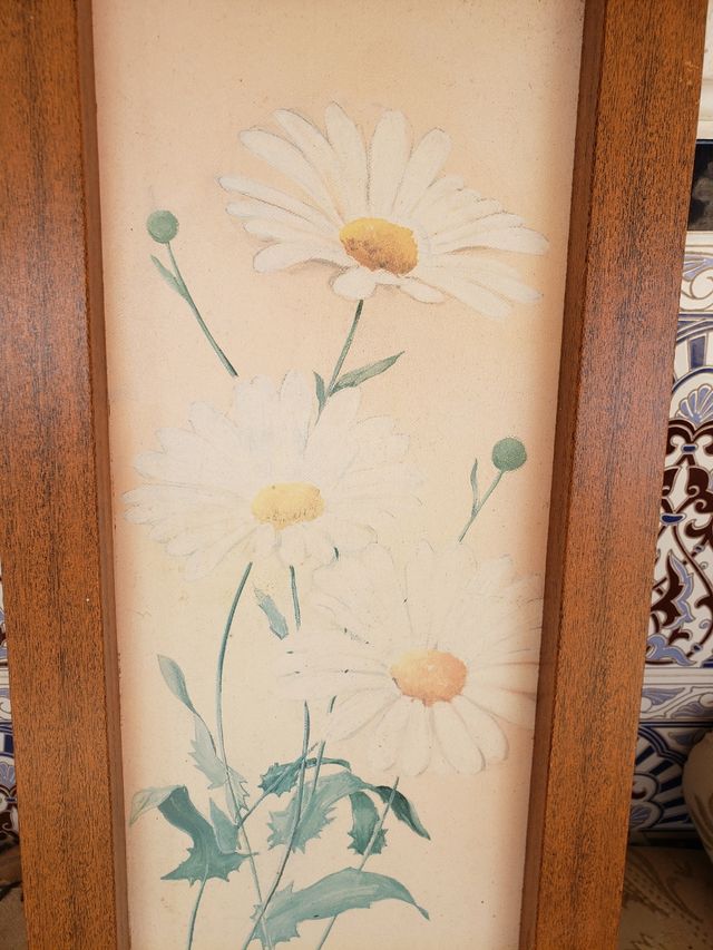 Cuadro 57 cm/ 27 cm 3 euro