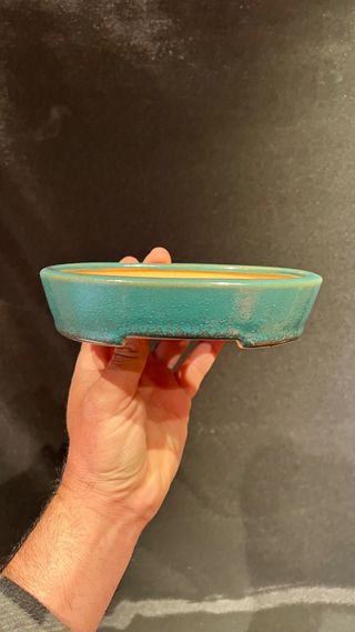 MACETA BONSAI JAPONESA TOKONAME SEIZAN / REIHO