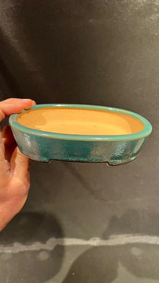 MACETA BONSAI JAPONESA TOKONAME SEIZAN / REIHO