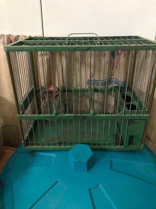 Jaula jilguero