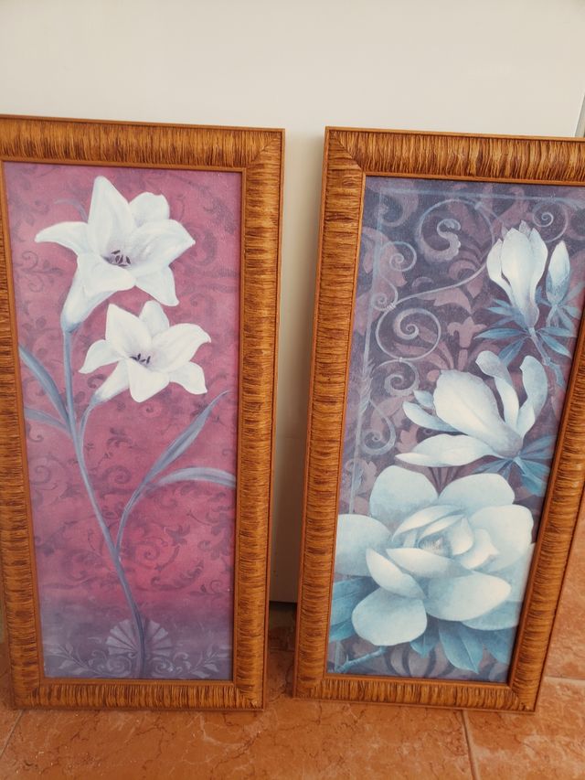 2 cuadros 56 cm / 26 cm  4.50