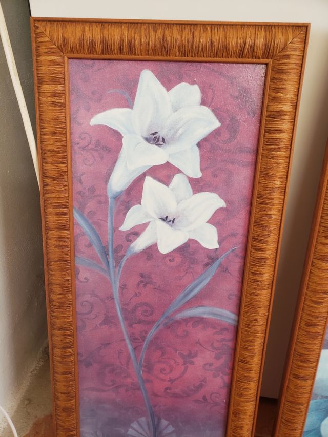 2 cuadros 56 cm / 26 cm  4.50