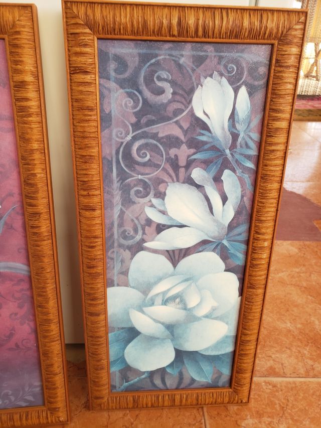 2 cuadros 56 cm / 26 cm  4.50