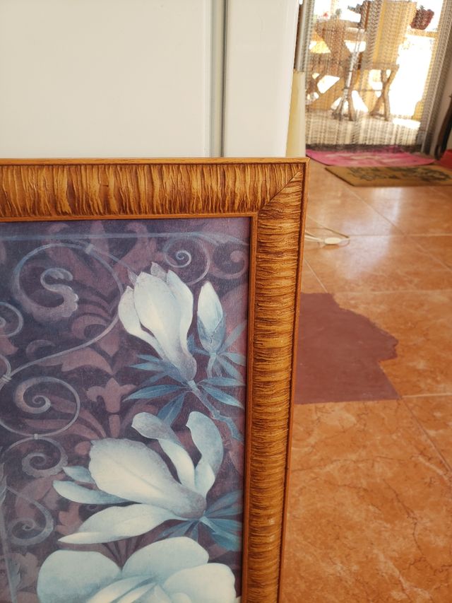 2 cuadros 56 cm / 26 cm  4.50