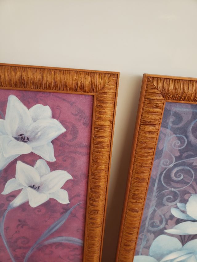 2 cuadros 56 cm / 26 cm  4.50