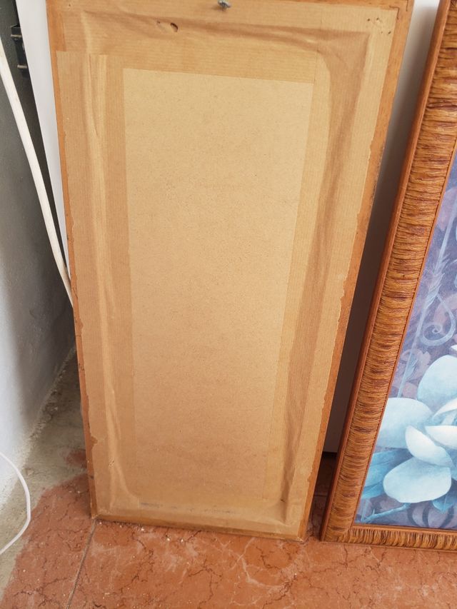 2 cuadros 56 cm / 26 cm  4.50