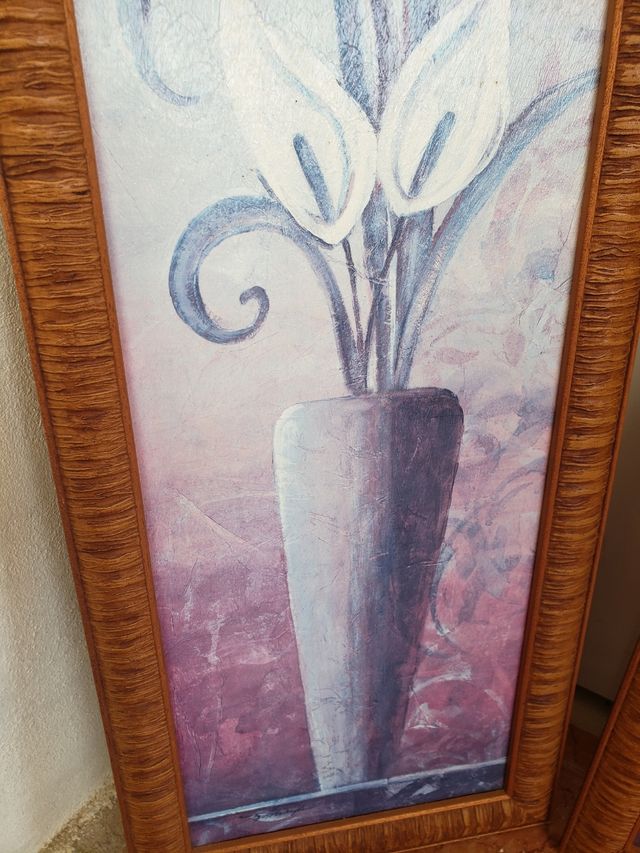 2 cuadros 55 cm / 25 cm  5 euro