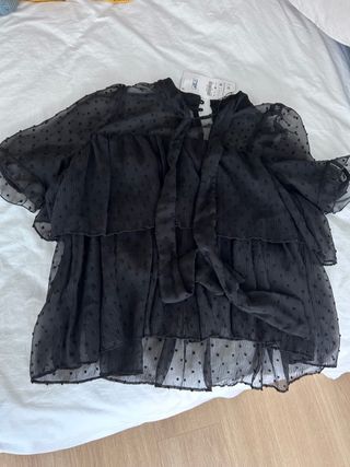 Blusa plumeti Zara