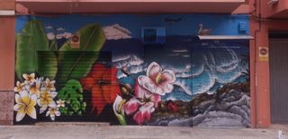 Murales y grafitties