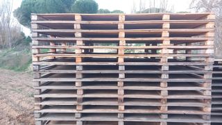 Palets de madera 3mx1,70m aprox
