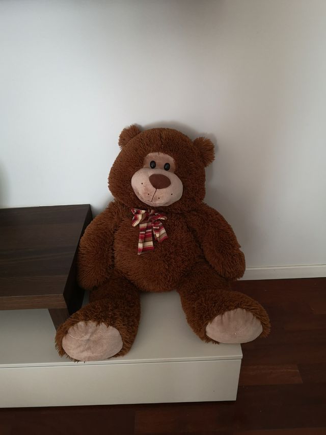 Orso peluche