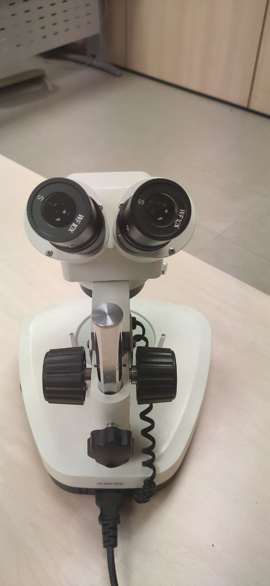 Microscopio B.Crown Optics