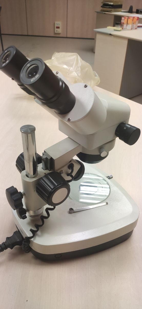 Microscopio B.Crown Optics